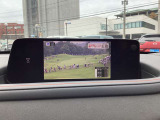 テレビも視聴可能です!みんなが楽しめるドライブに!