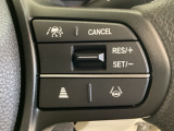 ハンドルにHondaセンシング系のクルーズコントロールやレーンキープアシストなどのスイッチが装備されています。ハンドルから手を離さず安全に操作できます。
