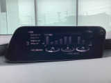 i-DM(インテリジェント・ドライブ・マスター)は運転操作の無駄を抑えたスムーズな運転をサポートし、快適なドライブや燃料消費を抑える事にも役立つアイテムです。