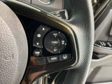 クルーズコントロールを装備しています。高速道路などで一定の速度で走ってくれるので運転が楽ですよ!速度を設定できますので、スピードの出しすぎにも注意できます。