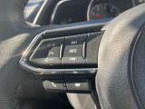 オーディオの音量などはハンドルのスイッチでわき見することなく安全に操作することができます。