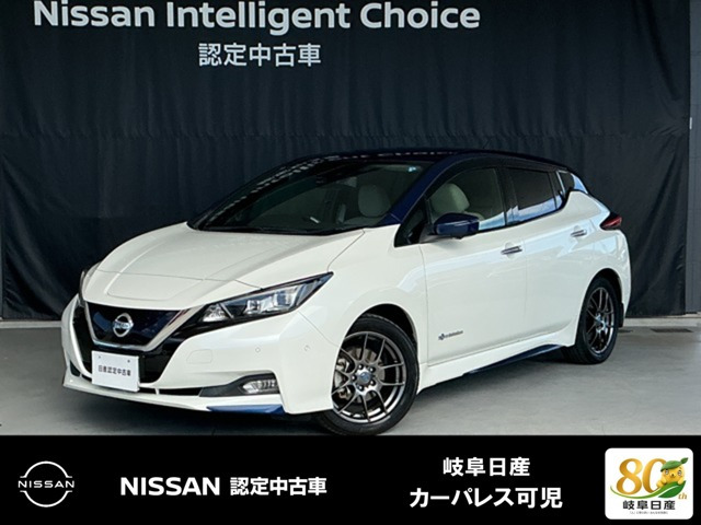リーフ G 
