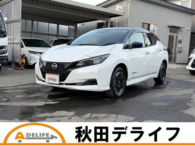 リーフ e+ X 