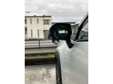 左前ドアミラーにアンダーミラーが装着されています。