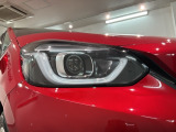 LEDヘッドライトは、点灯の瞬間から最大光量を発揮し、突然暗くなるトンネルなどでの安定感を高めます。