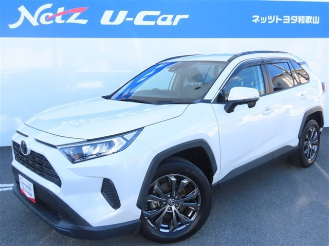 RAV4 2.0 X 