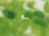 速度を数字で表示する画面を備え、走行時に速度情報を視線移動を抑えて確認しやすい構成です。必要な情報がシンプルに表示されるため、運転に集中したい場面にも便利です。