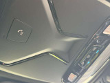 SOSコール装備です。緊急時は遠慮なく押してください。BMWメーカーエマージェンシーに直結致します。