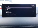 オーディオソースはこのようになっています。