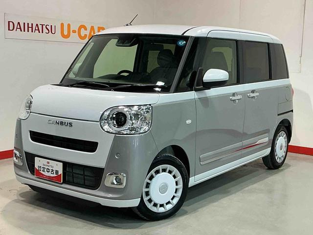 ムーヴキャンバス  ストライプス G