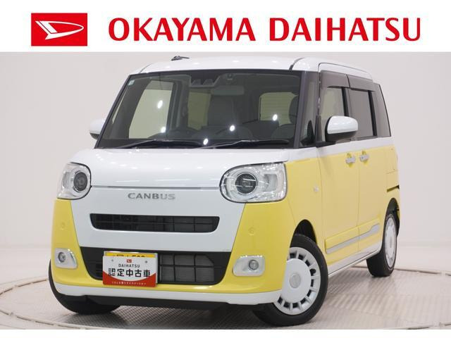 ムーヴキャンバス  ストライプス G