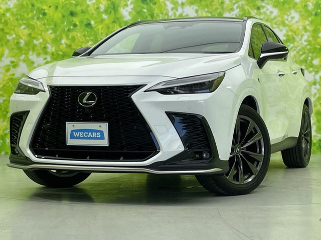 NX 350h Fスポーツ 
