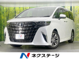 ガラスルーフ 純正14型ナビ 両側電動ドア 後席モニター 全周囲カメラ