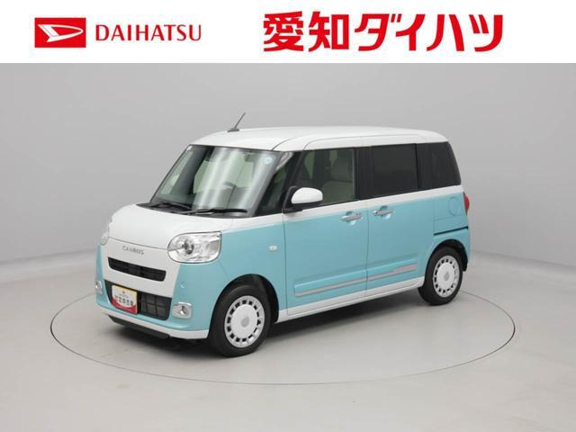 ムーヴキャンバス  ストライプス G