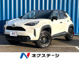 4WD バックカメラ 寒冷地仕様 100V電源 衝突被害軽減システム