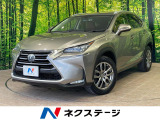沖縄県内での販売・登録が条件※宮古島除く