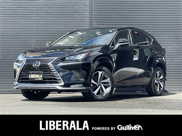 NX 300 スパイス&シック 4WD 4WD 本革シート