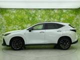 NX 350h Fスポーツ 
