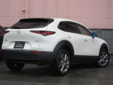 SUVであるCX-30のデザインコンセプトは「Sleek & Bold」。「Sleek(滑らかさ)」と「Bold(大胆さ)」をミックスさせ、クーペのような伸びやかな美しさとSUVらしい力強さの融合を目指しています。