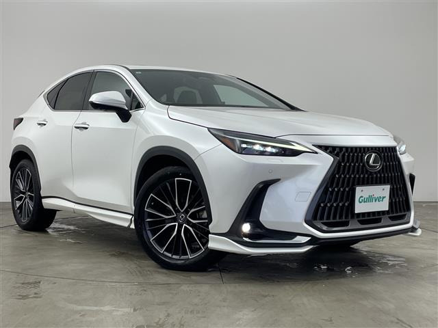 NX 250 バージョンL 4WD 4WD 本革シート