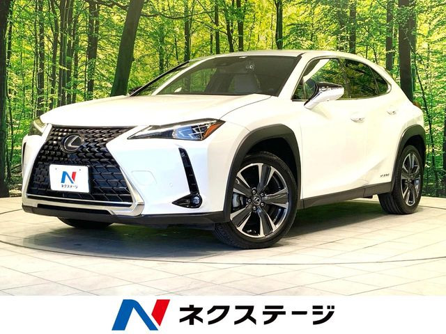UX 250h バージョンL 