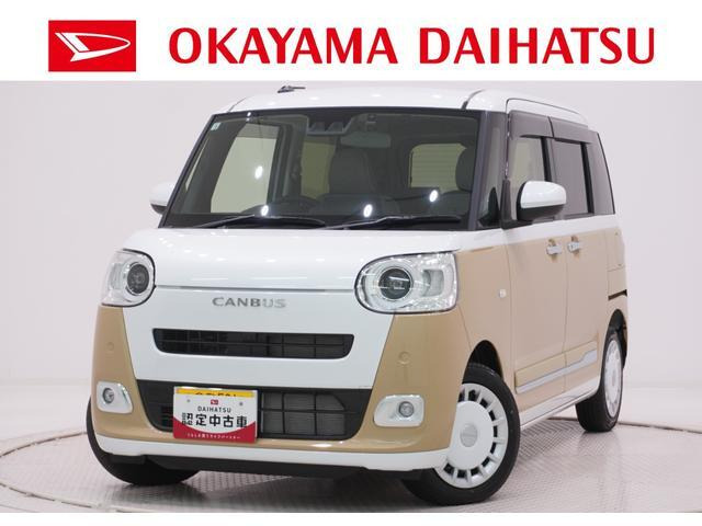ムーヴキャンバス  ストライプス G