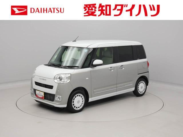ムーヴキャンバス  ストライプス G