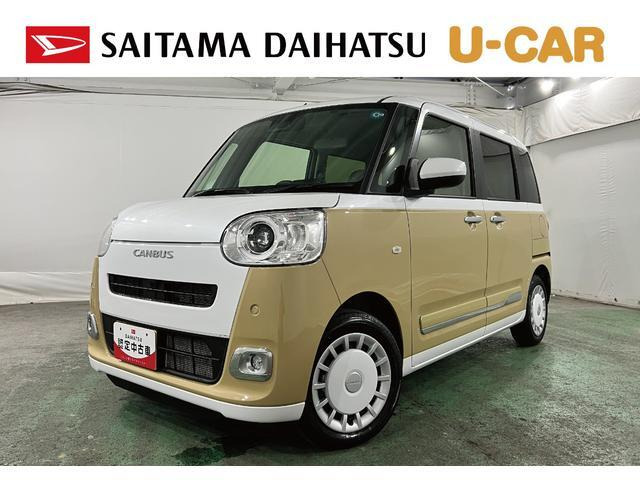 ムーヴキャンバス  ストライプス G