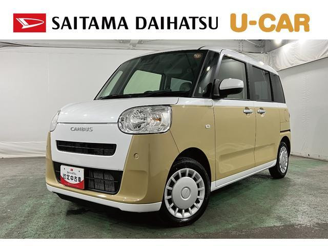 ムーヴキャンバス  ストライプス X