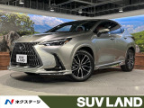 モデリスタエアロ 14型ディスプレイ 全周囲カメラ 赤革シート BSM