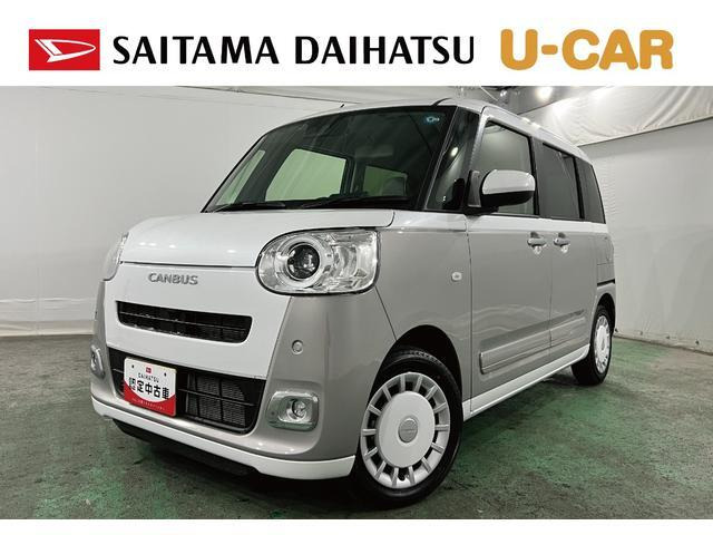 ムーヴキャンバス  ストライプス G
