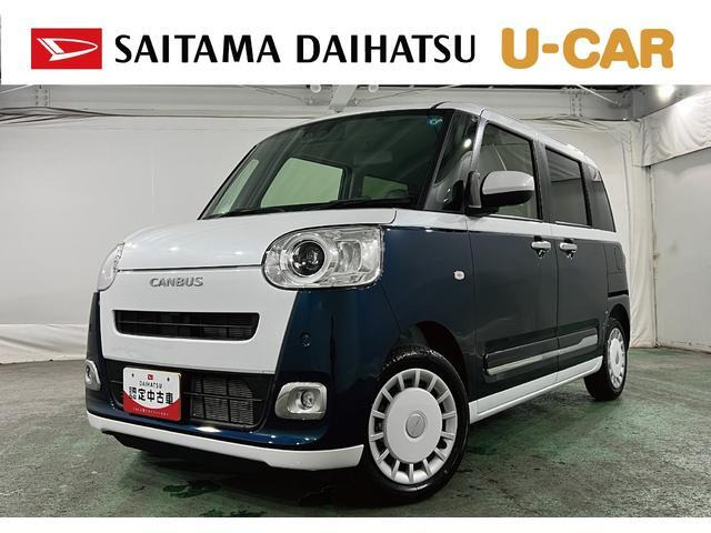 ムーヴキャンバス  ストライプス G
