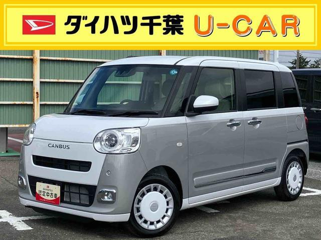 ムーヴキャンバス  ストライプス G