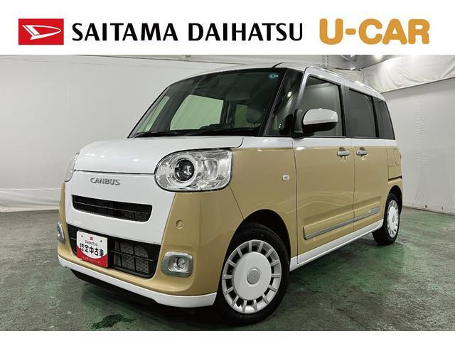 ムーヴキャンバス  ストライプス G