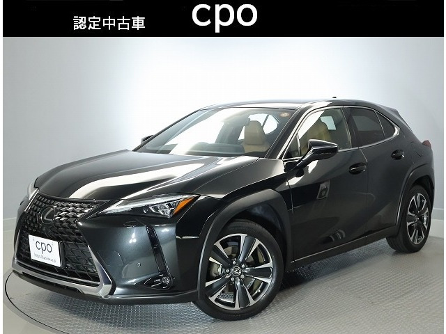 UX 250h バージョンL 4WD 