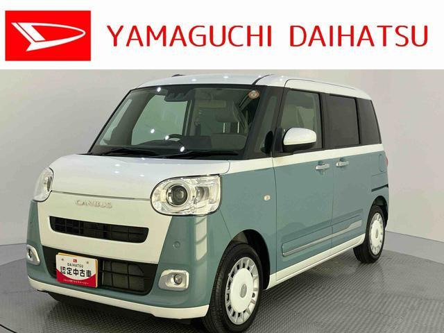 ムーヴキャンバス  ストライプス G