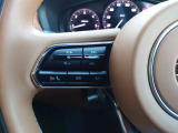 【ステアリングスイッチ】ステアリングスイッチは運転姿勢や視線を崩さずに操作が可能です。左側にはオーディオ類があります。