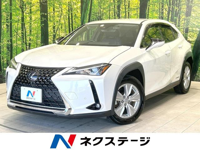 UX 250h バージョンC 