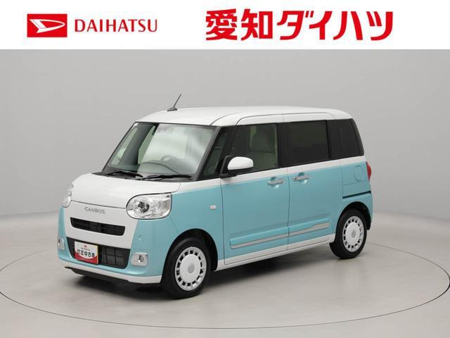 ムーヴキャンバス  ストライプス G
