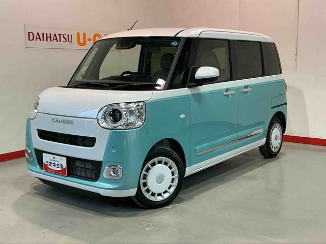 ムーヴキャンバス  ストライプス G