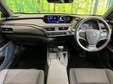 UX 250h 
