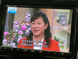停車中にTVやDVDを楽しめる機能が搭載。待ち時間も快適に過ごせます。※安全のため、走行中の視聴は控えてください。