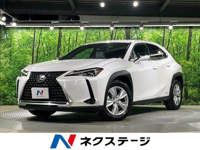 UX 250h バージョンC