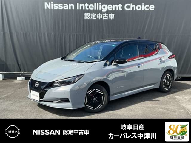 リーフ e+ X