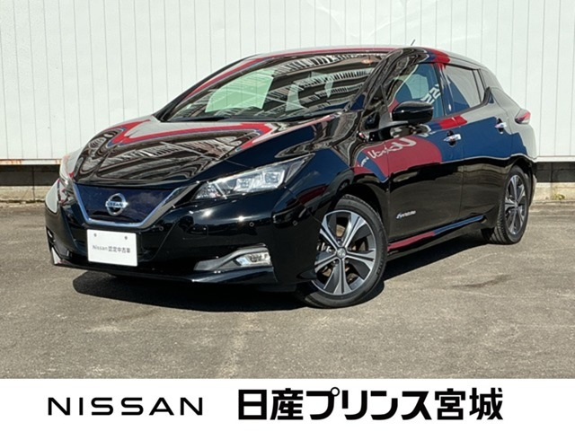 リーフ G