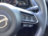 ステアリング右には運転支援系システムがまとまっており、運転中の操作の迷いを少なくしてくれます。