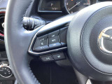 ステアリング左にはオーディオ系システムがまとまっており、運転中の快適性をサポートしてくれます。