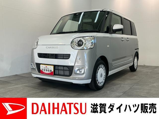 ムーヴキャンバス  ストライプス G