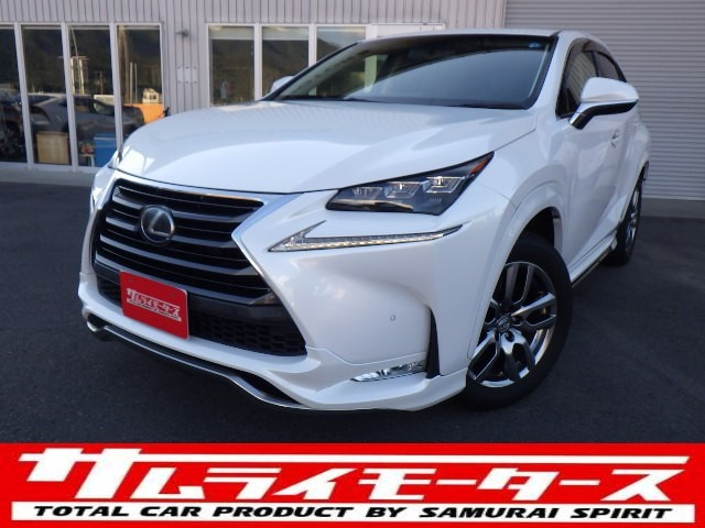 NX 300h Iパッケージ 