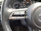 ステアリング左にはオーディオ系システムがまとまっており、運転中の快適性をサポートしてくれます。